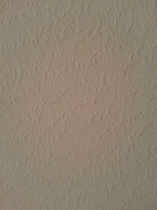 Elegance wall create by diatom ooze