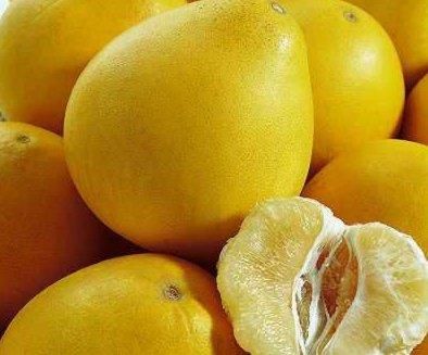 Acacia Natural